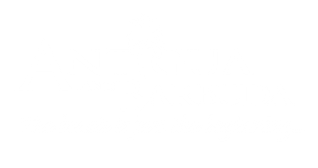 island-experince-logo